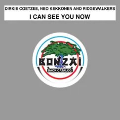 I Can See You Now (Dirkie Coetzee Progressive Dub) Song Lyrics