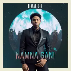 Namna Gani (feat. Patoranking) - Single by WALID album reviews, ratings, credits