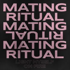 Light Myself On Fire - Single by Mating Ritual album reviews, ratings, credits