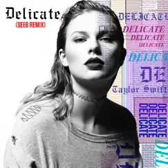 Delicate (Seeb Remix) Song Lyrics