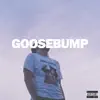 Goosebumps (feat. Oscar Lolang) - Single album lyrics, reviews, download