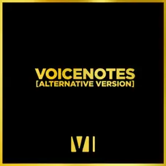 Voicenotes (Alternative Version) - Single by You Me At Six album reviews, ratings, credits
