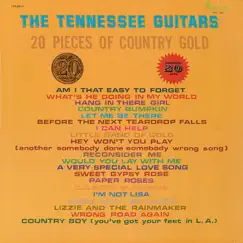 Country Boy (You've Got Your Feet in L.A.) Song Lyrics