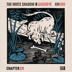 Goodbye - Single by The White Shadow album reviews, ratings, credits