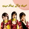 Mohabbat Jaye Bhar Mein - Single album lyrics, reviews, download