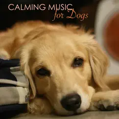 Relax With Your Dog Song Lyrics
