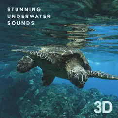 Underwater Sound Song Lyrics