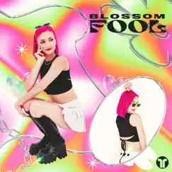 Fool - Single by Blossom album reviews, ratings, credits