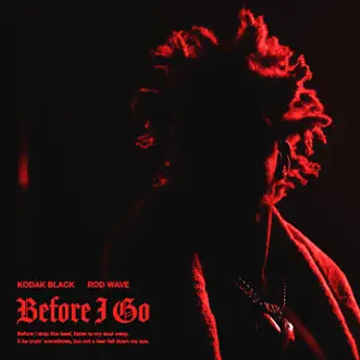 Before I Go (feat. Rod Wave) - Single by Kodak Black album download