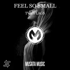 Feel So Small - Single by TWOFLAGS album reviews, ratings, credits