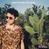 Even If You Are the Cactus - Single album lyrics, reviews, download