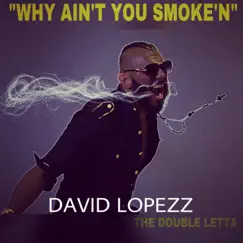 Why Ain't You Smoke'n - Single by David Lopezz album reviews, ratings, credits
