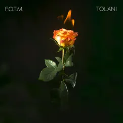 Fire On The Mountain - Single by Tolani album reviews, ratings, credits