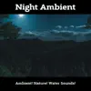 Night Ambient album lyrics, reviews, download