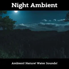 Night Ambient by Nature, Water Sounds & Ambient album reviews, ratings, credits