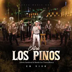 Entre los Pinos (En Vivo) [feat. Banda Tierra Blanca] - Single by Edwin Sandoval album reviews, ratings, credits