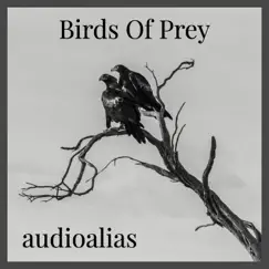 Birds of Prey - EP by Audioalias album reviews, ratings, credits