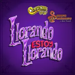 Llorando Estoy Llorando - Single by Campeche Show, La Sonora Santanera & Maria Fernanda album reviews, ratings, credits