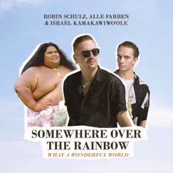 Somewhere Over the Rainbow / What a Wonderful World - Single by Robin Schulz, Alle Farben & Israel Kamakawiwo'ole album reviews, ratings, credits