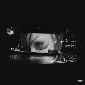 K bye for now (swt live) by Ariana Grande album download