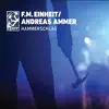 Hammerschlag (feat. Andreas Ammer) album lyrics, reviews, download