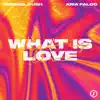 What Is Love (feat. Aria Falco) - Single album lyrics, reviews, download