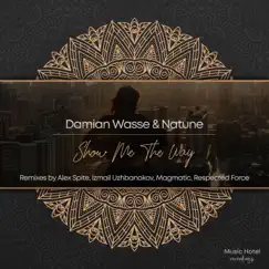 Show Me the Way (The Remixes) - EP by Damian Wasse & Natune album reviews, ratings, credits