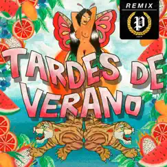 Tardes de Verano (Polybiu$ Remix) Song Lyrics