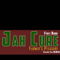 Farmer's Pleasure (Loving This) [Remix] - Single by Jah Cure album reviews, ratings, credits