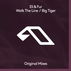 Walk the Line (Extended Mix) Song Lyrics