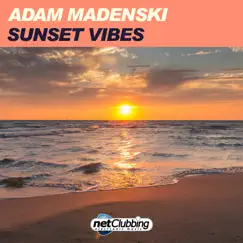 Sunset Vibes - Single by Adam Madenski album reviews, ratings, credits