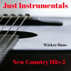 Guitars and Tiki Bars (Instrumental) Song Lyrics