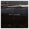 Not Alone - Single album lyrics, reviews, download