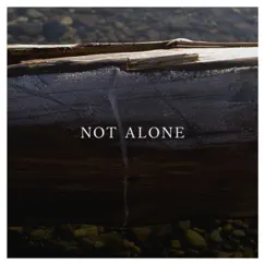 Not Alone - Single by Aardwolves album reviews, ratings, credits