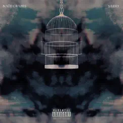 Flightless Wings (feat. Saeed) - Single by Nate Grapes album reviews, ratings, credits
