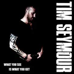 What You See Is What You Get - Single by Tim Seymour album reviews, ratings, credits