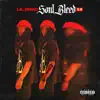Soul Bleed 2.0 album lyrics, reviews, download