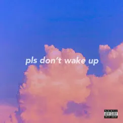 Pls Wake Up Interlude Song Lyrics