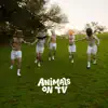 How to Dance with the Lights out and Not Hurt Yourself: A Guidebook by Animals on TV - Single album lyrics, reviews, download