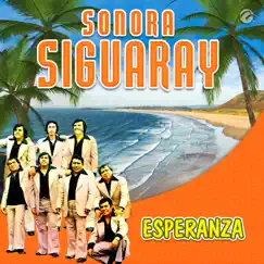 Esperanza - Single by Sonora Siguaray album reviews, ratings, credits