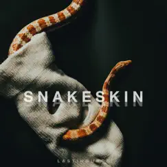 Snakeskin Song Lyrics
