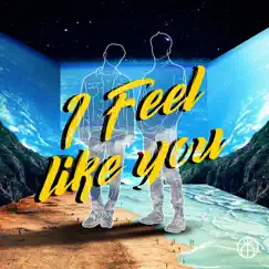 I Feel Like You (feat. PLZY) Song Lyrics