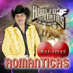 Baladas Románticas by Adolfo Urias y Su Lobo Norteño album reviews, ratings, credits