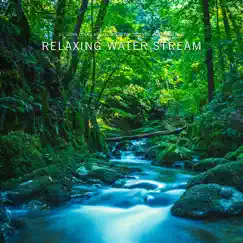 Relaxing Water Stream Song Lyrics