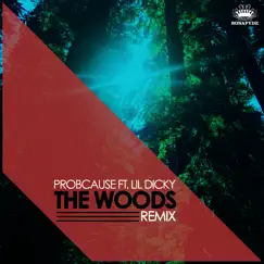 The Woods (feat. Lil Dicky) [Remix] - Single by Probcause album reviews, ratings, credits