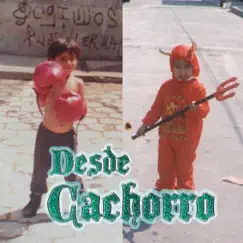 Desde Cachorro (feat. Dorck) - Single by Bryan Vazsco album reviews, ratings, credits