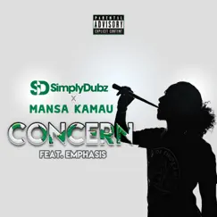 Concern (feat. Mansa Kamau & Emphasis) Song Lyrics