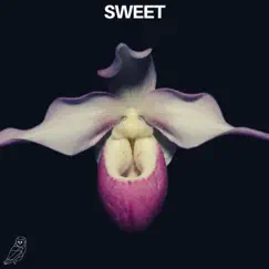 Sweet (feat. Ædya) - Single by Lazer Owl album reviews, ratings, credits