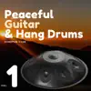 Peaceful Guitar & Hang Drums Vol. 1 album lyrics, reviews, download