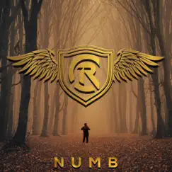 Numb - Single by Cole Rolland album reviews, ratings, credits